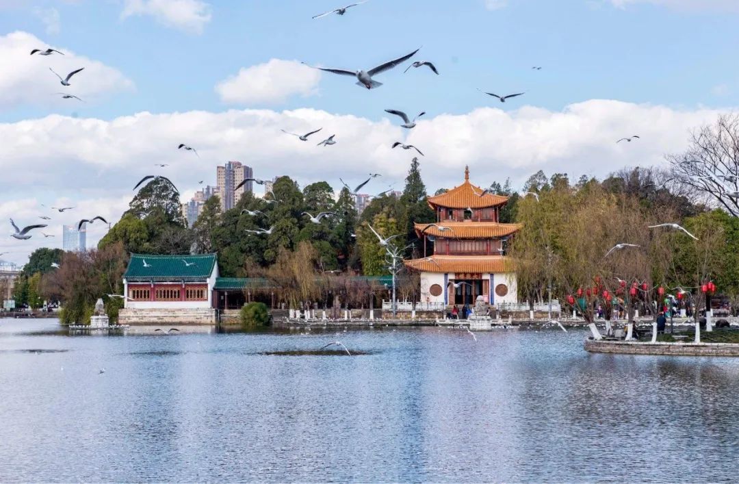 丽江大理西双版纳旅游攻略-大理丽江西双版纳旅游线路(图3) 大理丽江西双版纳哪里好玩_丽江大理西双版纳旅游攻略_大理丽江西双版纳旅游线路