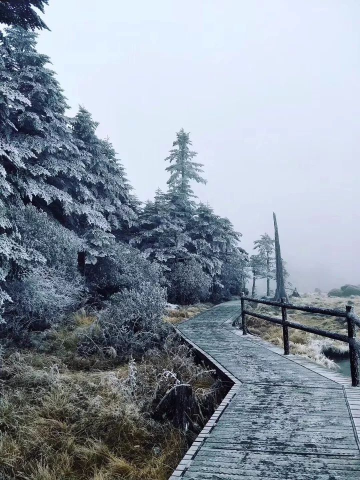 螺髻山航拍视频_螺髻山旅游攻略_螺髻山山脚海拔有多高