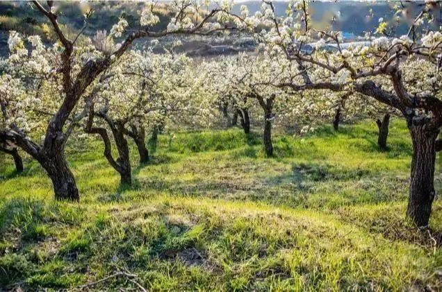 岫岩清凉山旅游攻略_清凉山岫岩_岫岩的山