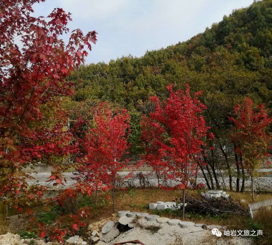 鞍山岫岩景区_岫岩的山_岫岩清凉山旅游攻略