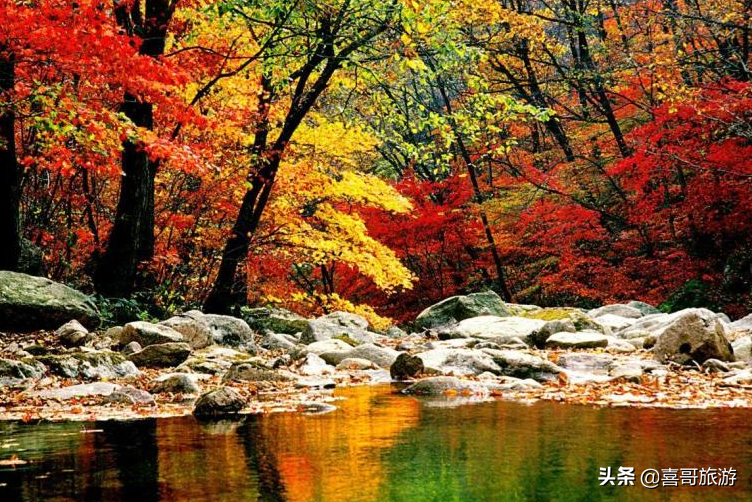 绿江村自驾游旅游攻略_绿江村一日游_绿江村旅游攻略