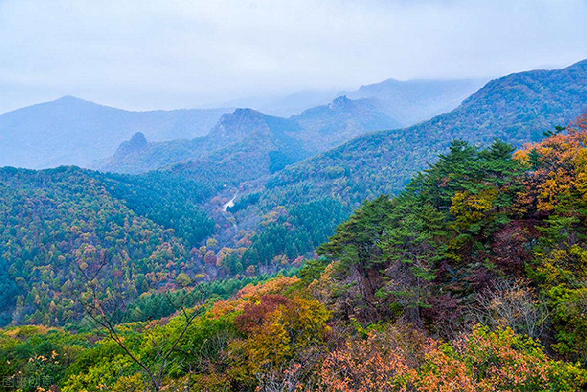 绿江村旅游攻略_绿江村自驾游旅游攻略_绿江村旅游资源