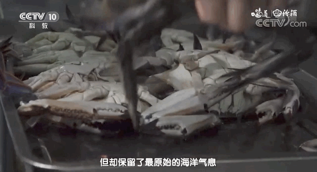 绿江村旅游资源_绿江村旅游攻略_绿江村自驾游旅游攻略