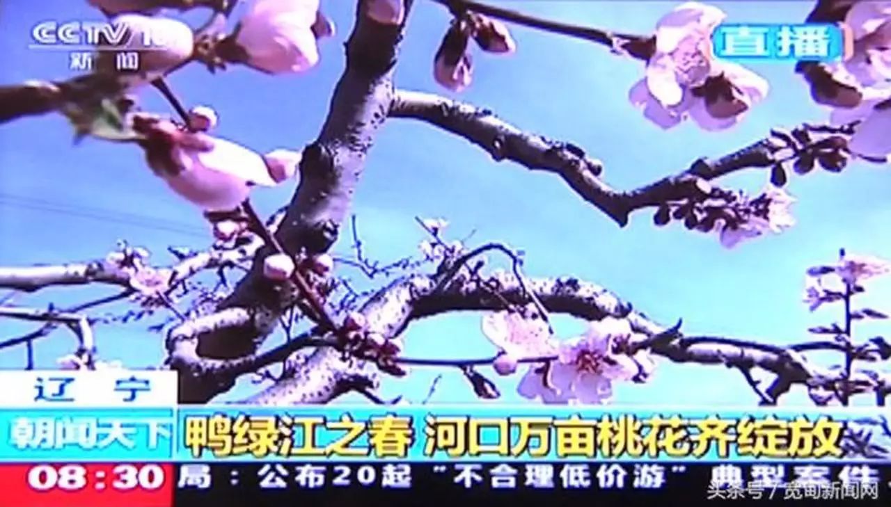 丹东凤凰山自驾游攻略_丹东凤凰山附近有什么吃的_自助丹东凤凰山旅游攻略