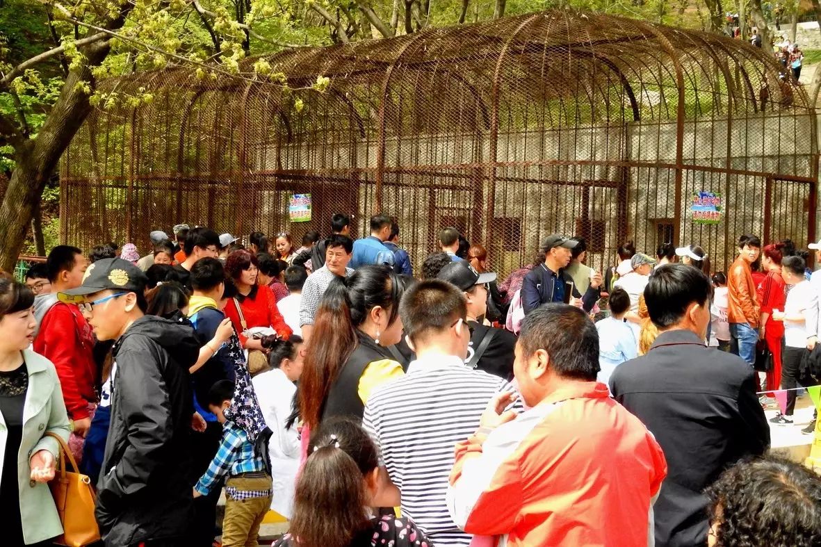 丹东凤凰山自驾游攻略_丹东凤凰山附近有什么吃的_自助丹东凤凰山旅游攻略