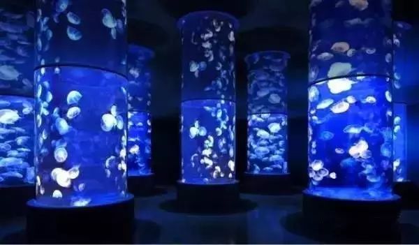 动物园海洋馆旅游攻略-动物园海洋馆门票多少钱一张(图23) 海洋馆动物园门票_动物园海洋馆旅游攻略_动物园海洋馆门票多少钱一张