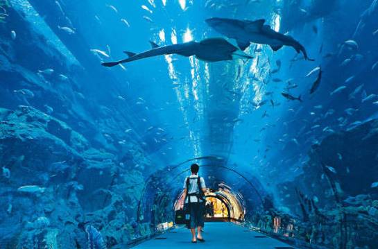 动物园海洋馆旅游攻略-动物园海洋馆门票多少钱一张(图30) 动物园海洋馆门票多少钱一张_海洋馆动物园门票_动物园海洋馆旅游攻略