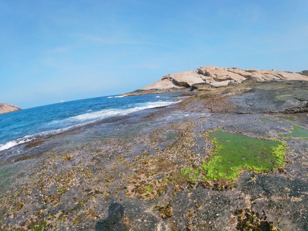 庙湾岛旅游攻略-庙湾岛旅游平时多少钱(图30) 庙湾岛门票多少钱_庙湾岛旅游平时多少钱_庙湾岛旅游攻略