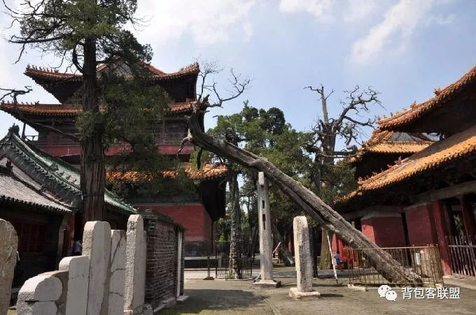 曲阜孔府旅游攻略-曲阜孔府孔庙旅游攻略(图16) 曲阜孔府门票价格_曲阜孔府旅游攻略_曲阜孔府孔庙旅游攻略