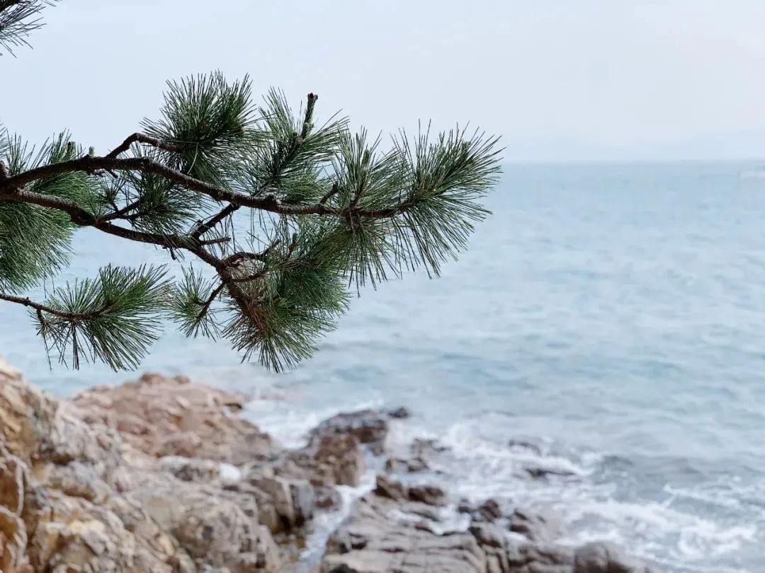 鼓浪屿旅游美食攻略_鼓浪屿游玩攻略_鼓浪屿景点攻略