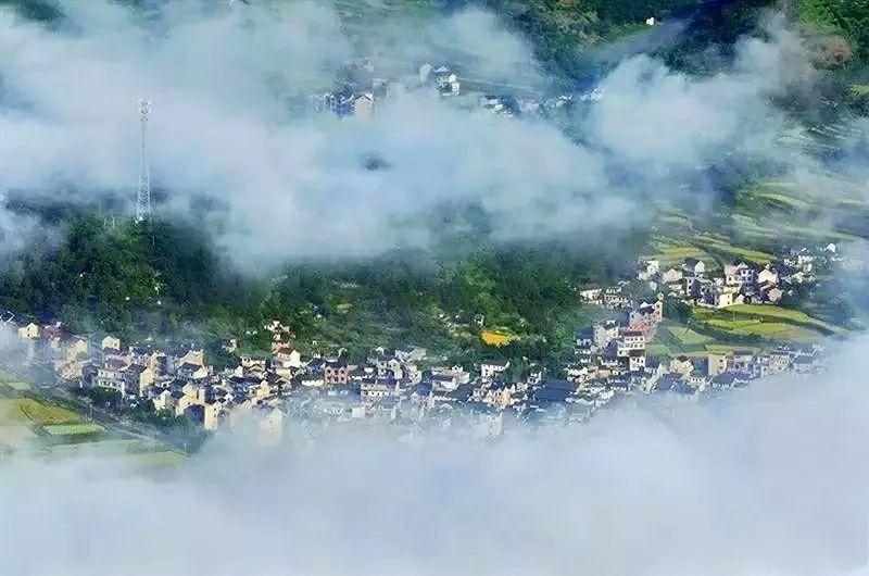 天目山攻略西天目山_上海天目山_上海到西天目山旅游攻略