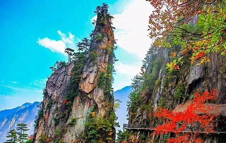 上海到西天目山旅游攻略_上海天目山_天目山攻略西天目山