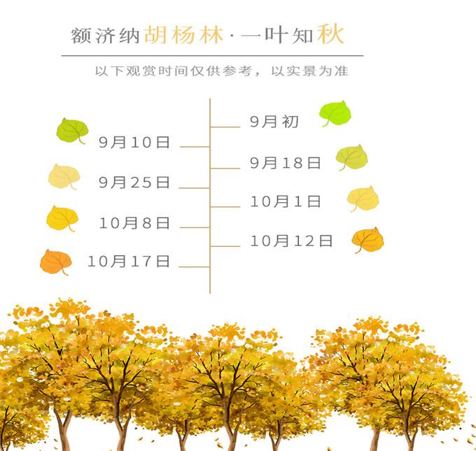 胡杨林摄影旅游攻略_胡杨林旅游照_胡杨林摄影团