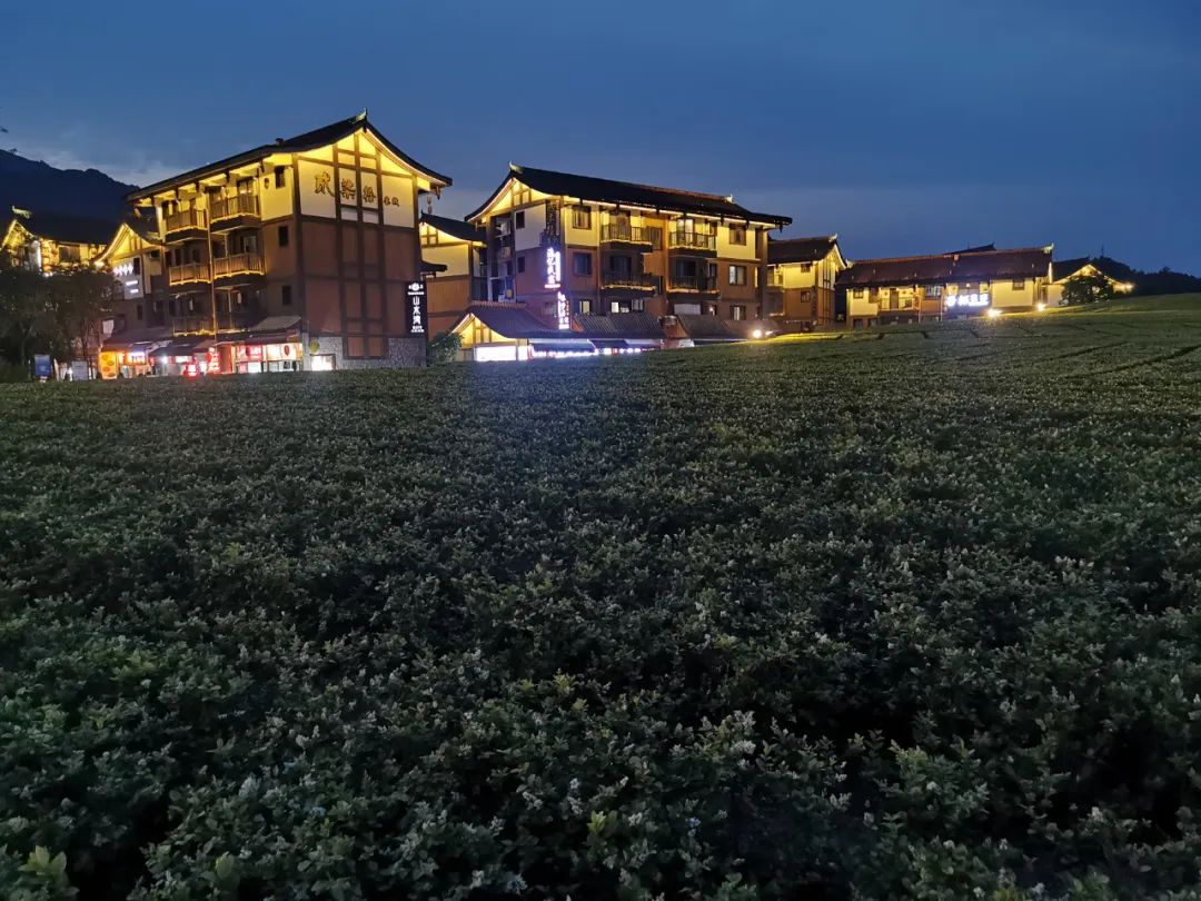 峨眉山老年人旅游攻略-峨眉山景区老年人门票优惠政策(图14) 峨眉山老年人旅游攻略_峨眉山老年人门票多少_峨眉山景区老年人门票优惠政策