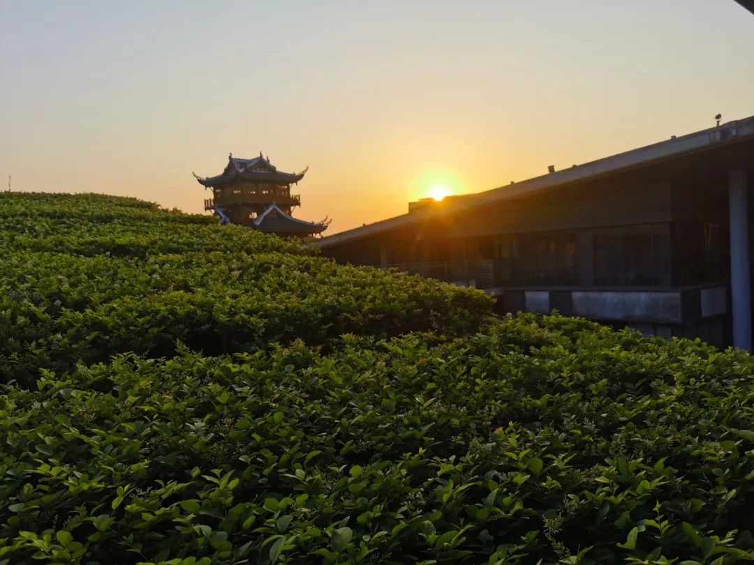 峨眉山老年人旅游攻略-峨眉山景区老年人门票优惠政策(图6) 峨眉山老年人旅游攻略_峨眉山景区老年人门票优惠政策_峨眉山老年人门票多少