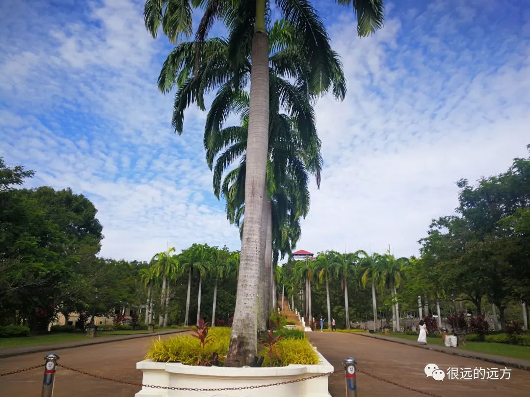 沙巴亚庇旅游攻略-沙巴旅游攻略自由行攻略(图9) 沙巴亚庇旅游攻略_攻略旅游沙巴亚庇岛的路线_沙巴旅游攻略自由行攻略