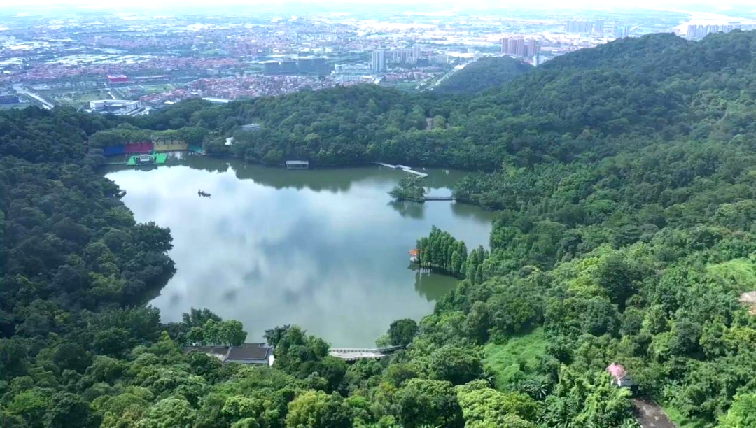西樵山 旅游攻略-西樵山旅游度假区(图1) 西樵山旅游度假区_西樵山旅游线路_西樵山 旅游攻略