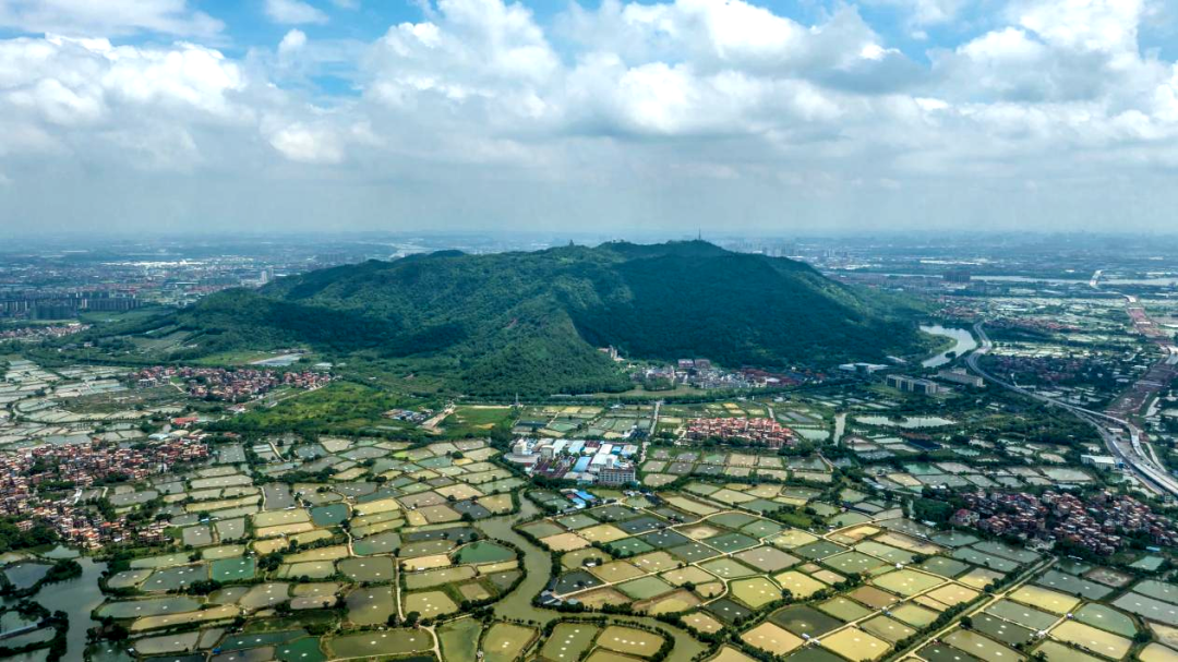 西樵山 旅游攻略-西樵山旅游度假区(图2) 西樵山旅游线路_西樵山旅游度假区_西樵山 旅游攻略