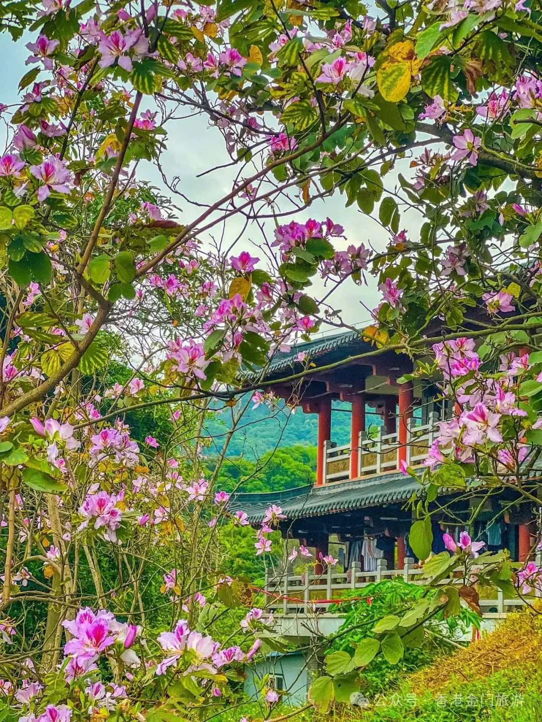 西樵山 旅游攻略-西樵山旅游度假区(图11) 西樵山 旅游攻略_西樵山旅游线路_西樵山旅游度假区