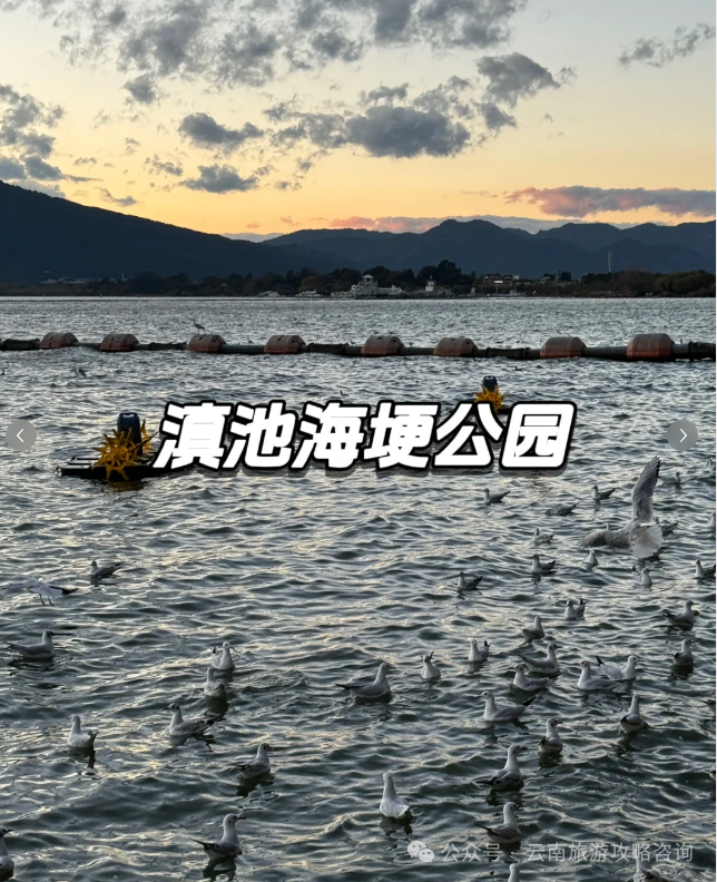 去玩儿过大理古城的旅游攻略_云南大理古城游玩攻略_大理古城好玩