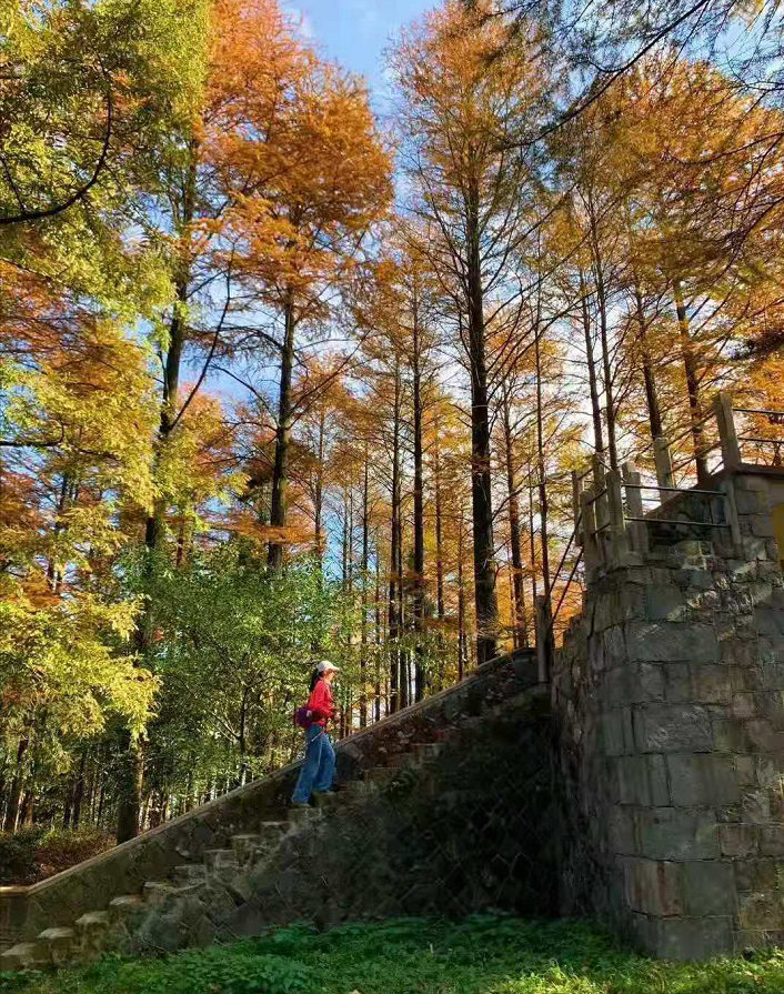 榜一先生总想给我花钱_下渚湖旅游攻略_艾力达国产仿制药