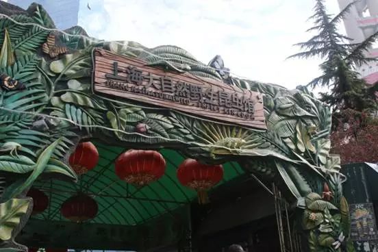 上海昆虫馆开放时间_上海野生昆虫博物馆介绍_上海大自然野生昆虫馆旅游攻略
