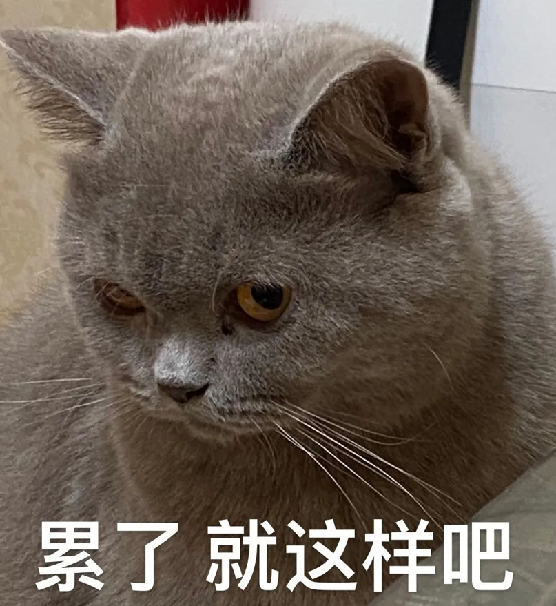 金丝峡最佳旅游时间_金丝峡怎么去_西安到金丝峡旅游攻略