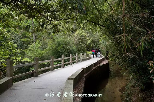 惠州阿婆角旅游攻略-惠州阿婆角的酒店价格(图11) 惠州阿婆角和巽寮湾哪个好_惠州阿婆角旅游攻略_惠州阿婆角的酒店价格
