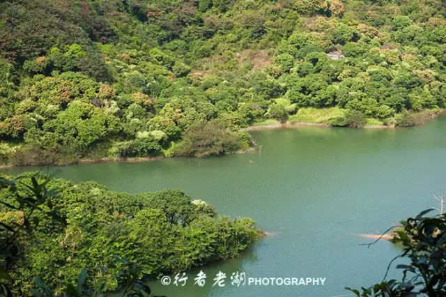 惠州阿婆角旅游攻略-惠州阿婆角的酒店价格(图4) 惠州阿婆角的酒店价格_惠州阿婆角旅游攻略_惠州阿婆角和巽寮湾哪个好