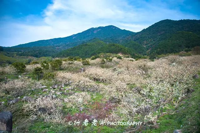 惠州阿婆角旅游攻略-惠州阿婆角的酒店价格(图37) 惠州阿婆角旅游攻略_惠州阿婆角的酒店价格_惠州阿婆角和巽寮湾哪个好