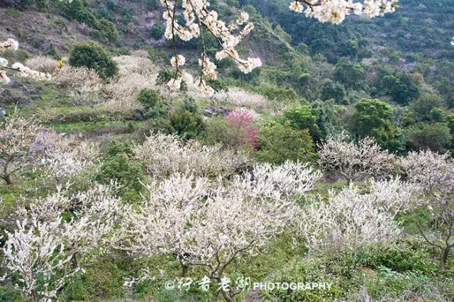 惠州阿婆角旅游攻略-惠州阿婆角的酒店价格(图38) 惠州阿婆角的酒店价格_惠州阿婆角旅游攻略_惠州阿婆角和巽寮湾哪个好