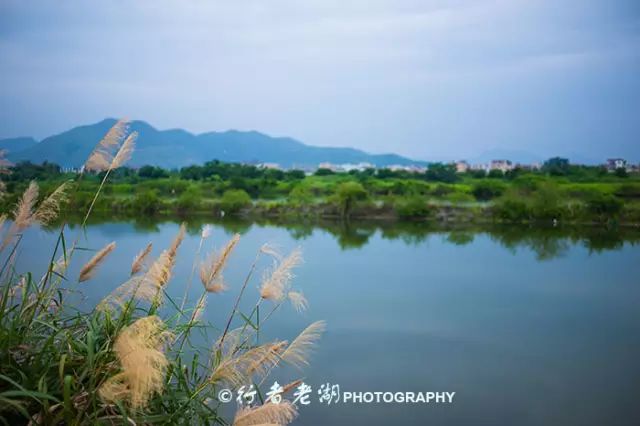 惠州阿婆角旅游攻略-惠州阿婆角的酒店价格(图7) 惠州阿婆角的酒店价格_惠州阿婆角旅游攻略_惠州阿婆角和巽寮湾哪个好