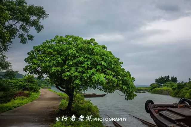 惠州阿婆角旅游攻略-惠州阿婆角的酒店价格(图8) 惠州阿婆角和巽寮湾哪个好_惠州阿婆角旅游攻略_惠州阿婆角的酒店价格