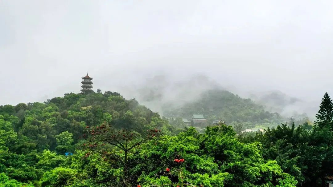淋巴结肿大鼻咽癌是什么期_肇庆仙女湖旅游攻略_小猪钓鱼教案