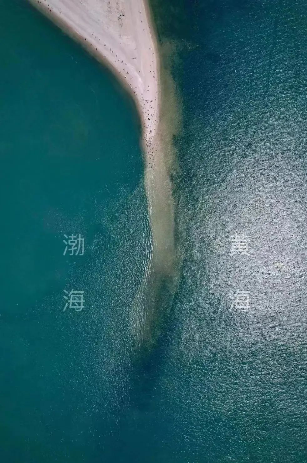 青岛蓬莱长岛旅游攻略-蓬莱长岛旅游景点大全介绍(图5) 青岛蓬莱长岛旅游攻略_蓬莱长岛旅游景点大全介绍_蓬莱长岛旅游攻略三天游