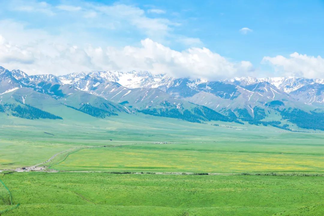 伊犁草原旅游攻略-伊犁了旅游攻略(图11) 伊犁了旅游攻略_伊犁草原旅游攻略_伊犁草原旅游最佳时间
