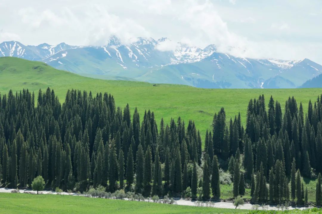 伊犁草原旅游攻略-伊犁了旅游攻略(图17) 伊犁草原旅游最佳时间_伊犁草原旅游攻略_伊犁了旅游攻略