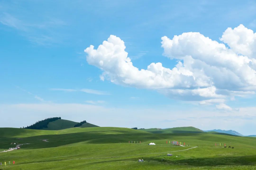 伊犁草原旅游攻略-伊犁了旅游攻略(图22) 伊犁草原旅游攻略_伊犁草原旅游最佳时间_伊犁了旅游攻略