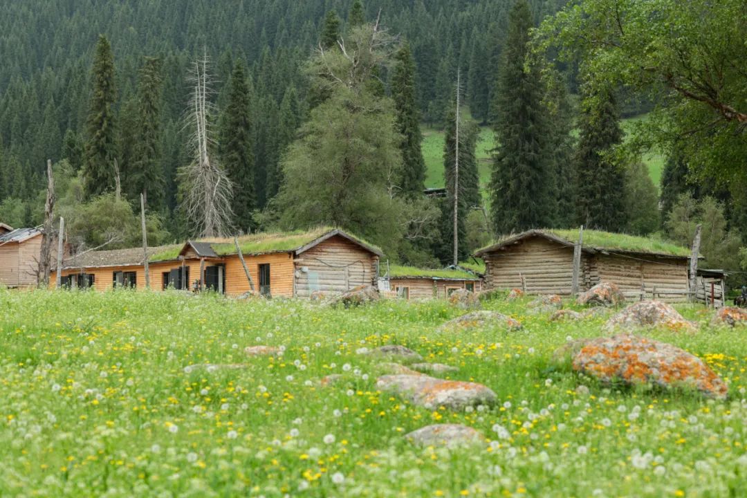 伊犁草原旅游攻略-伊犁了旅游攻略(图28) 伊犁草原旅游最佳时间_伊犁草原旅游攻略_伊犁了旅游攻略
