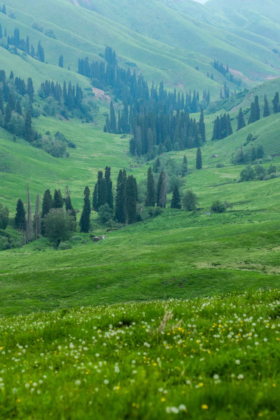 伊犁草原旅游攻略-伊犁了旅游攻略(图31) 伊犁草原旅游最佳时间_伊犁了旅游攻略_伊犁草原旅游攻略