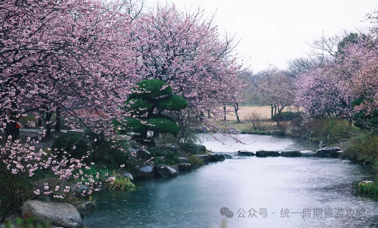 上海周庄古镇一日游攻略_上海周庄古镇门票_上海周庄古镇旅游攻略