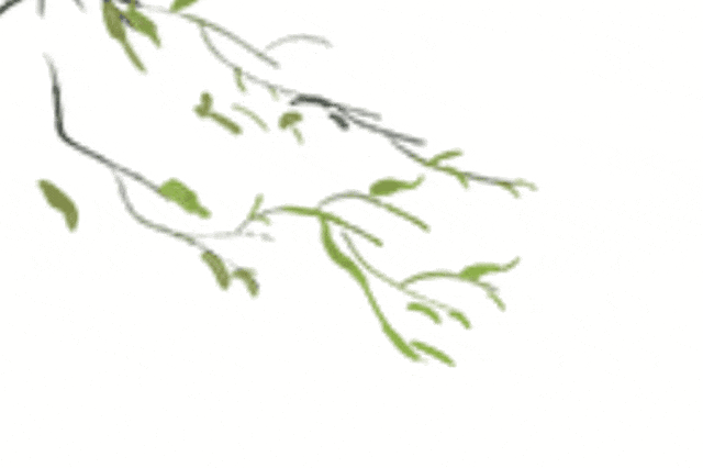 深圳时尚货架-深圳市时尚货架有限公司(图5) 深圳市时尚货架有限公司_深圳时尚货架_深圳货架制