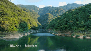 从化溪头旅游村有什么好玩的_从化溪头村旅游攻略相关推荐_广州从化溪头旅游村