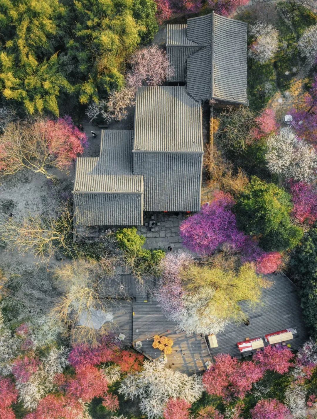西溪湿地的旅游攻略-西溪湿地定位(图1) 西溪湿地十景_西溪湿地的旅游攻略_西溪湿地定位