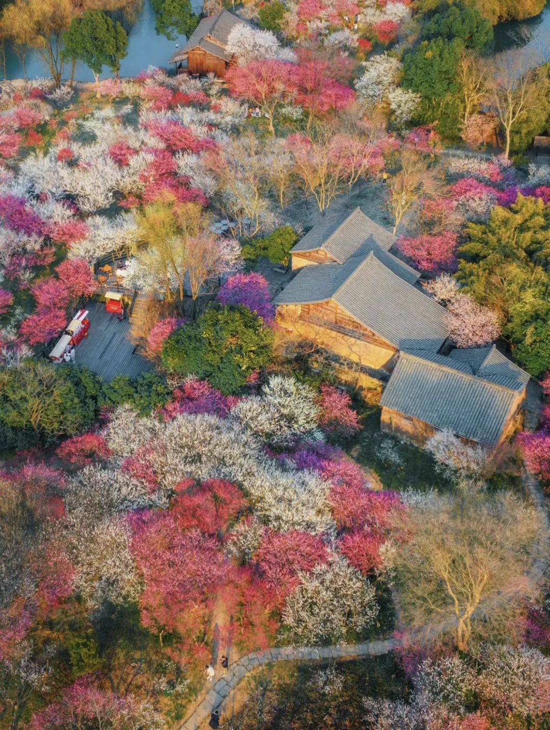 西溪湿地的旅游攻略-西溪湿地定位(图2) 西溪湿地十景_西溪湿地定位_西溪湿地的旅游攻略