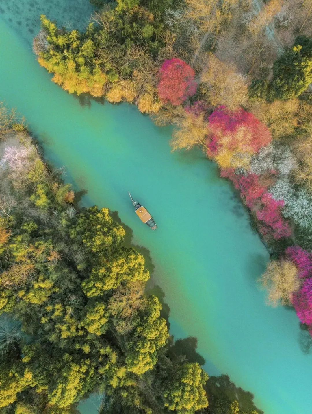 西溪湿地的旅游攻略-西溪湿地定位(图7) 西溪湿地的旅游攻略_西溪湿地定位_西溪湿地十景