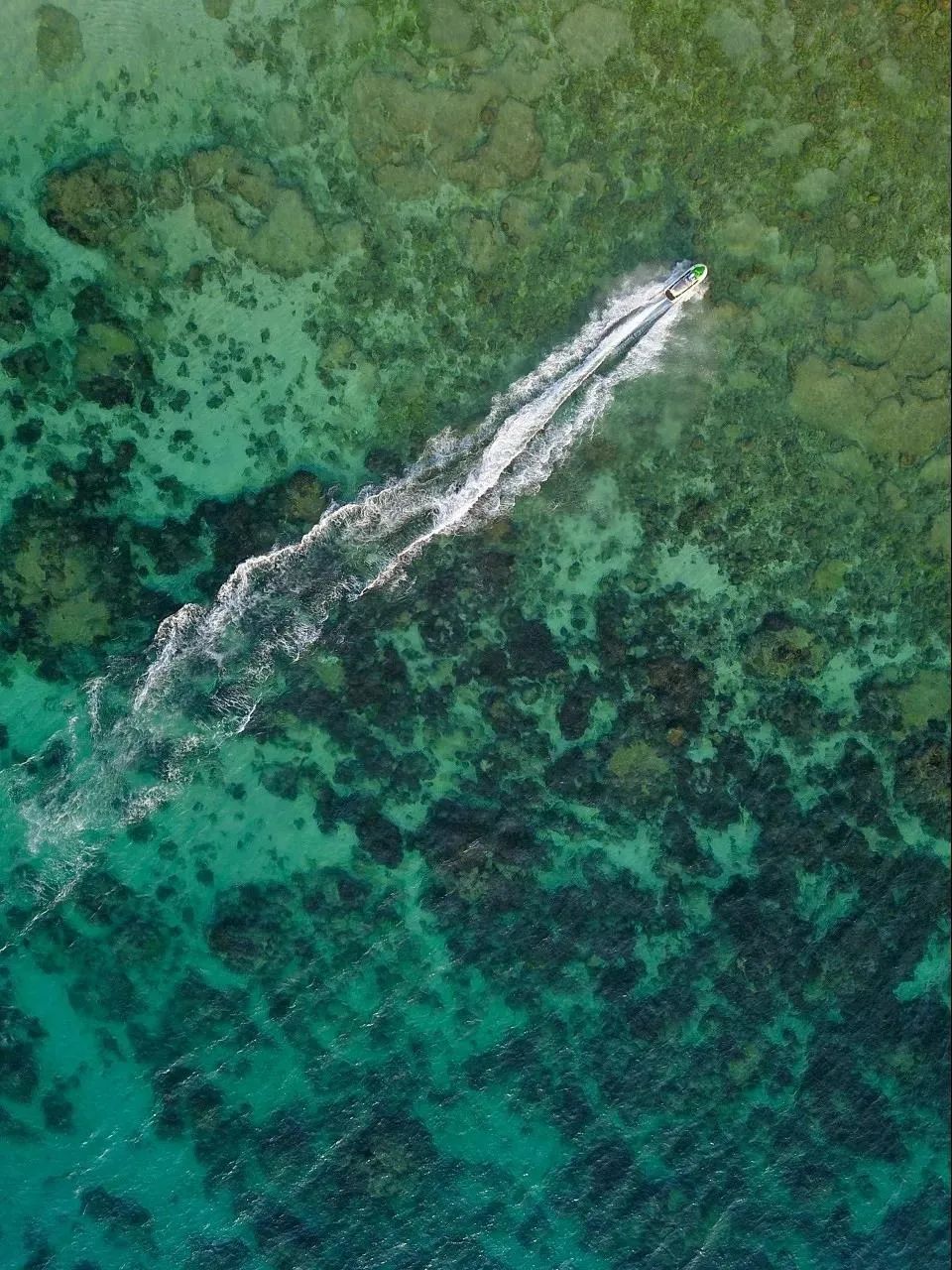 成都到拉萨旅游攻略_拉萨攻略成都旅游到哪个机场_拉萨到成都景点