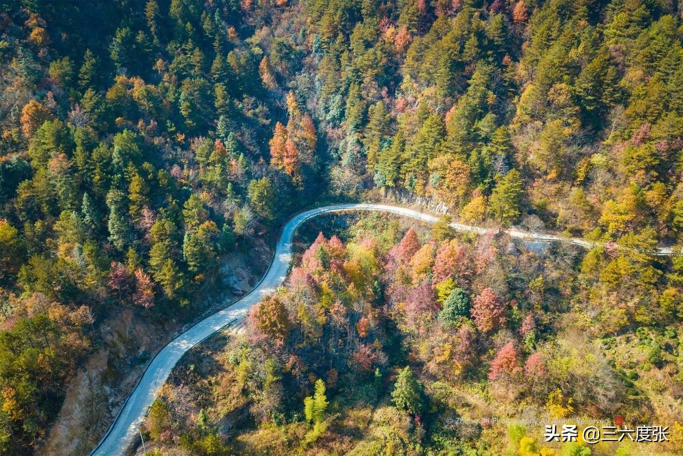 鹞落坪景点介绍_鹞落坪旅游攻略_鹞落坪自驾游旅游攻略