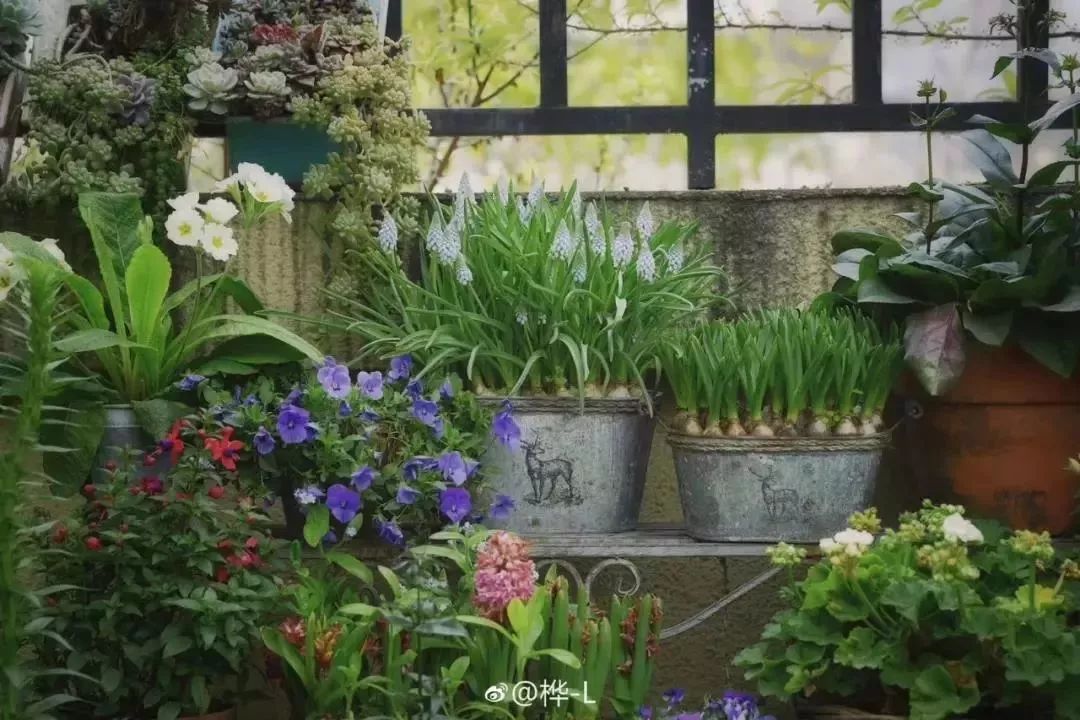 太平洋时尚盛典-太平洋时装秀(图22) 太平洋时尚盛典_太平洋时装秀_太平洋时尚中心官网