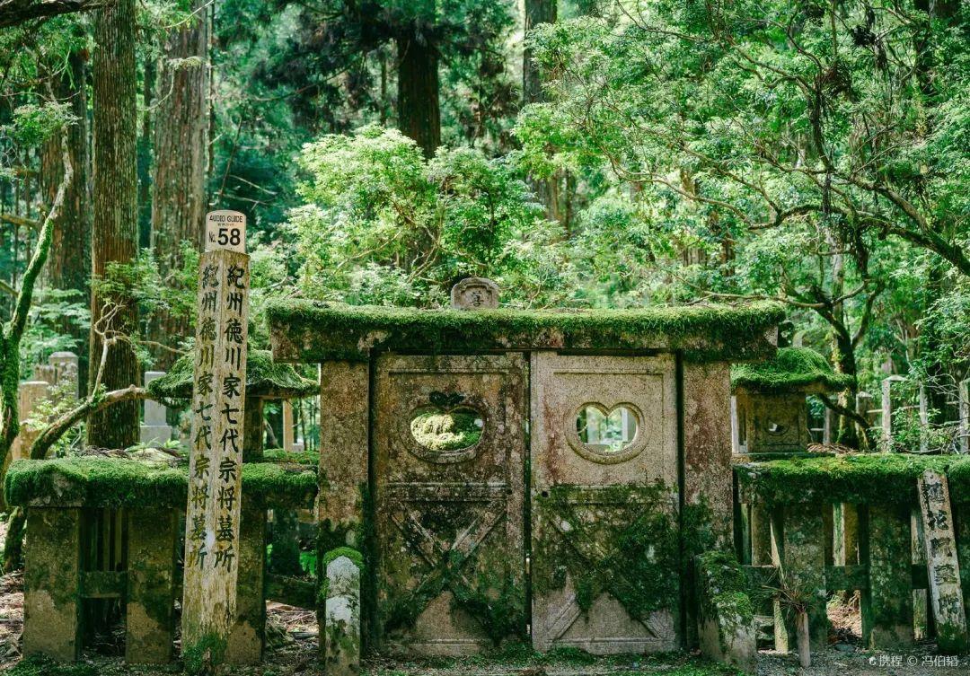 缙云山旅游攻略-缙云山旅游攻略(图6) 缙云山旅游攻略_缙云山旅游攻略_缙云山旅游攻略